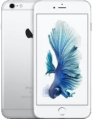 iPhone 6 Plus
